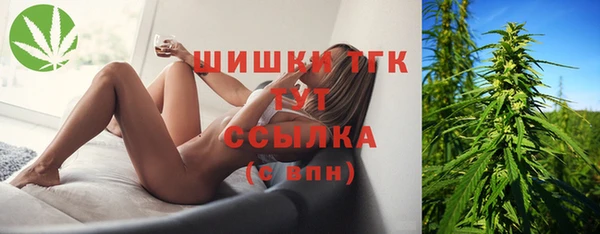 apvp Алексин