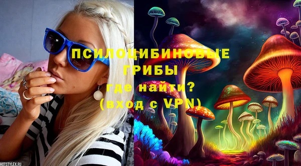 apvp Алексин