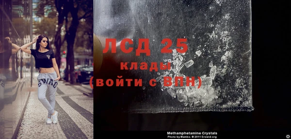 apvp Алексин