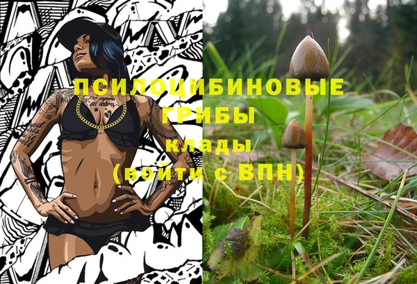 спиды Алзамай